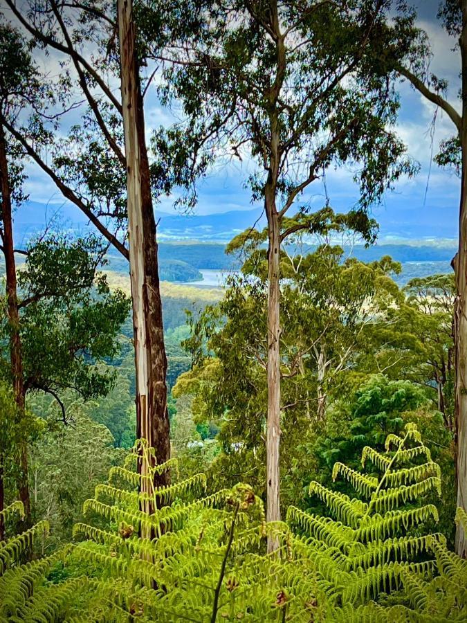 Melbourne Topview Villa In Dandenong Ranges Near Skyhigh Kalorama Zewnętrze zdjęcie