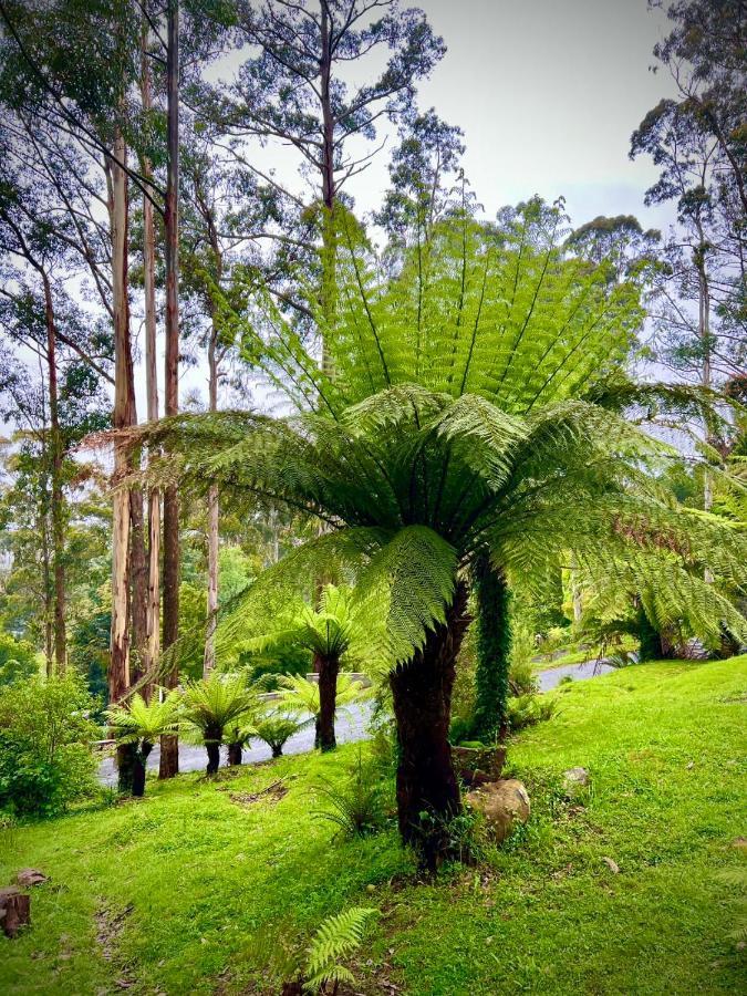 Melbourne Topview Villa In Dandenong Ranges Near Skyhigh Kalorama Zewnętrze zdjęcie