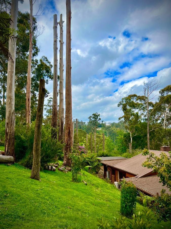 Melbourne Topview Villa In Dandenong Ranges Near Skyhigh Kalorama Zewnętrze zdjęcie