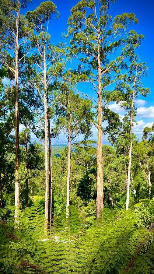 Melbourne Topview Villa In Dandenong Ranges Near Skyhigh Kalorama Zewnętrze zdjęcie