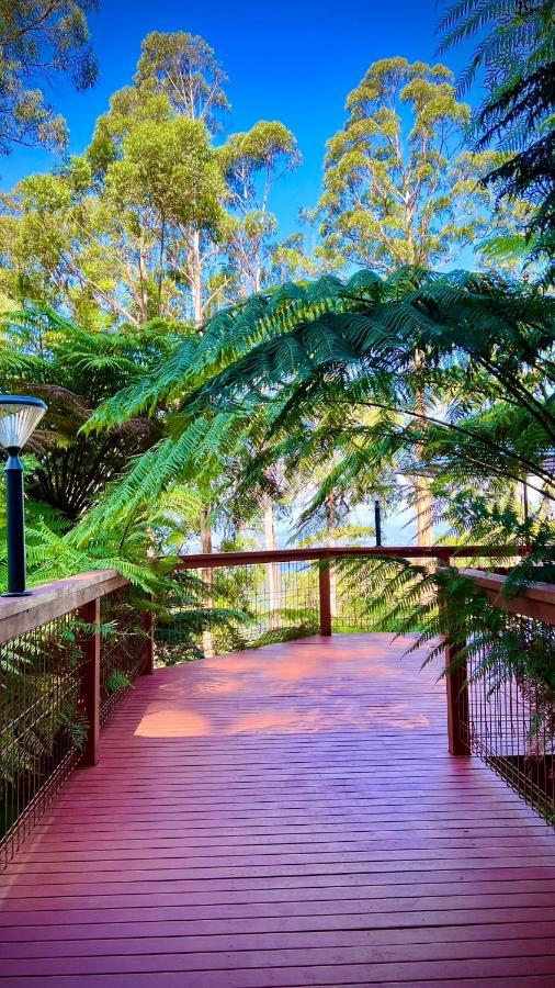 Melbourne Topview Villa In Dandenong Ranges Near Skyhigh Kalorama Zewnętrze zdjęcie