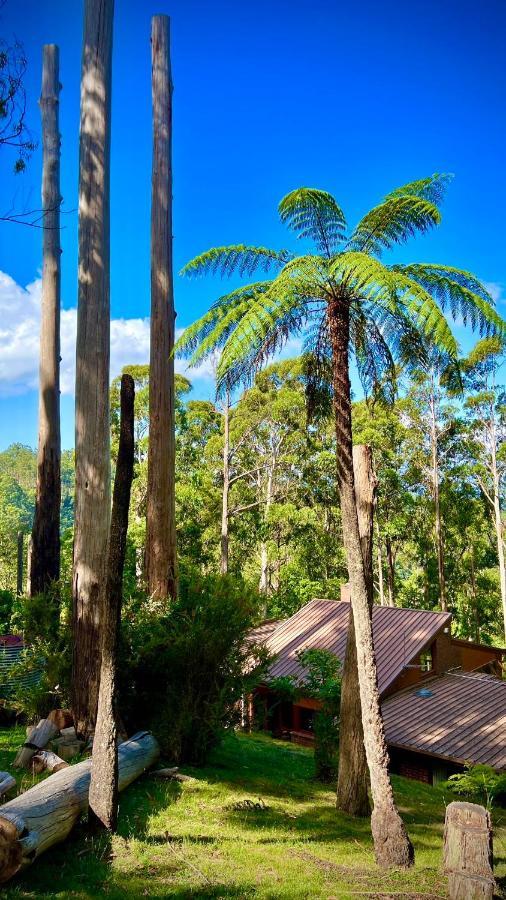 Melbourne Topview Villa In Dandenong Ranges Near Skyhigh Kalorama Zewnętrze zdjęcie