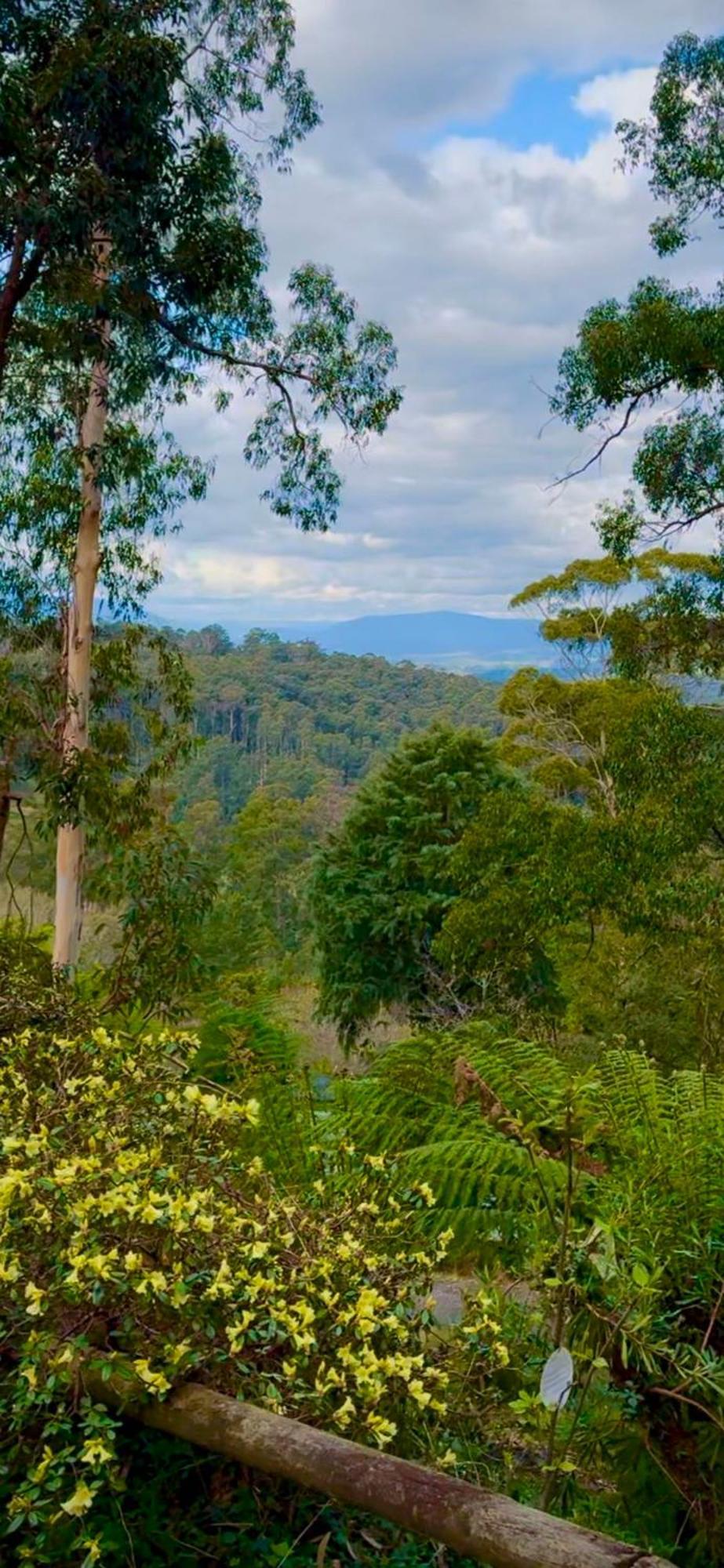 Melbourne Topview Villa In Dandenong Ranges Near Skyhigh Kalorama Zewnętrze zdjęcie