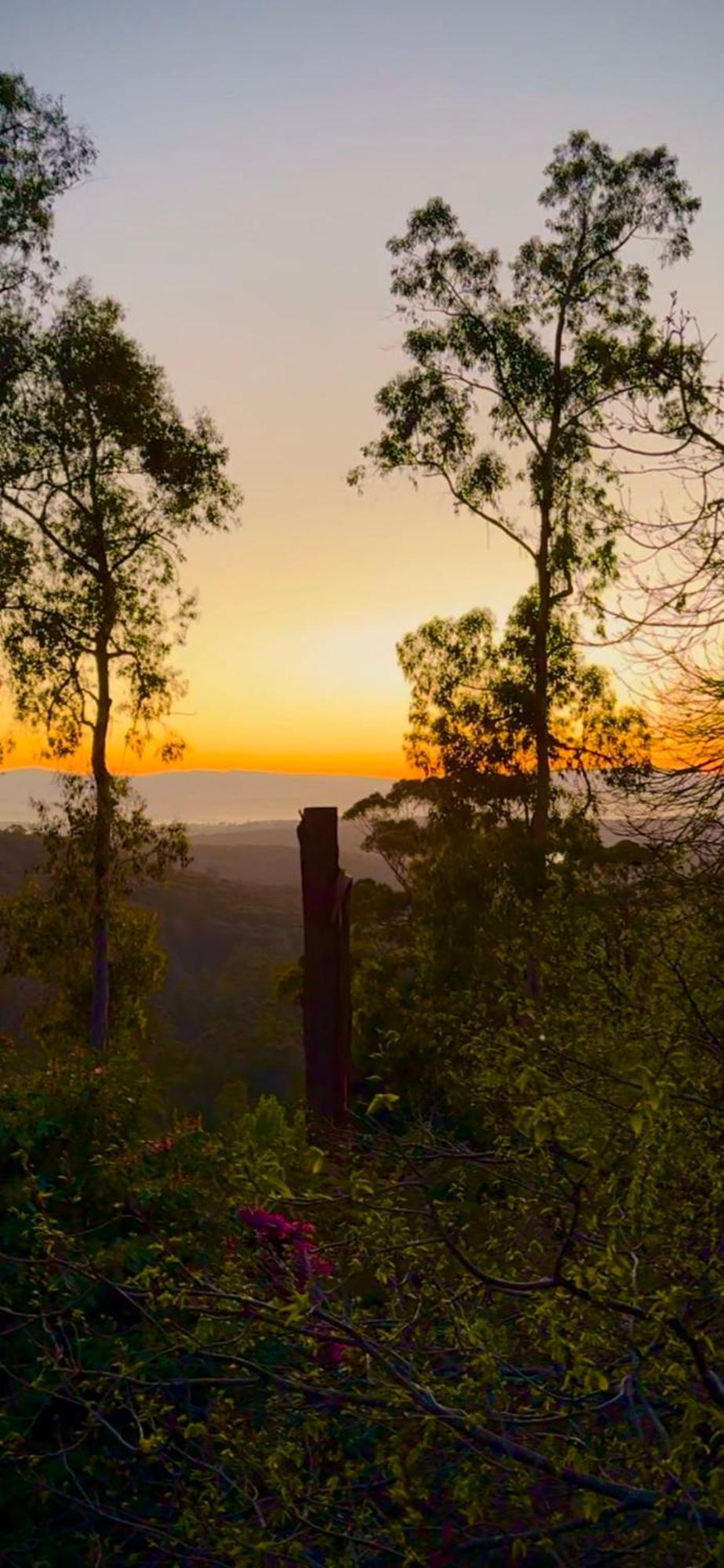 Melbourne Topview Villa In Dandenong Ranges Near Skyhigh Kalorama Zewnętrze zdjęcie