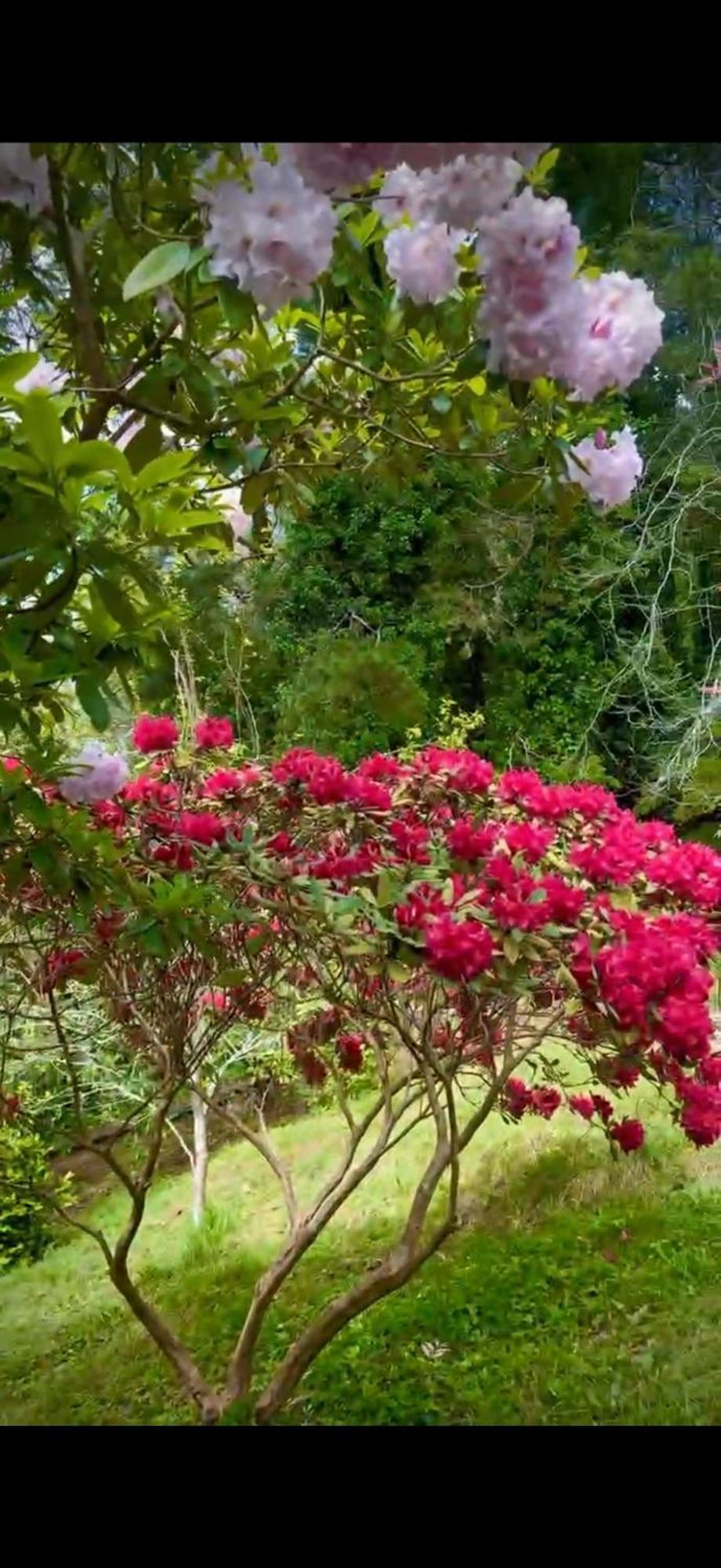 Melbourne Topview Villa In Dandenong Ranges Near Skyhigh Kalorama Zewnętrze zdjęcie